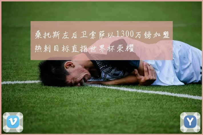 桑托斯左后卫索萨以1300万镑加盟热刺目标直指世界杯荣耀