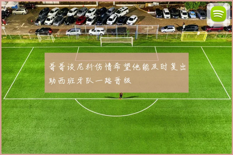 哥哥谈尼科伤情希望他能及时复出助西班牙队一路晋级